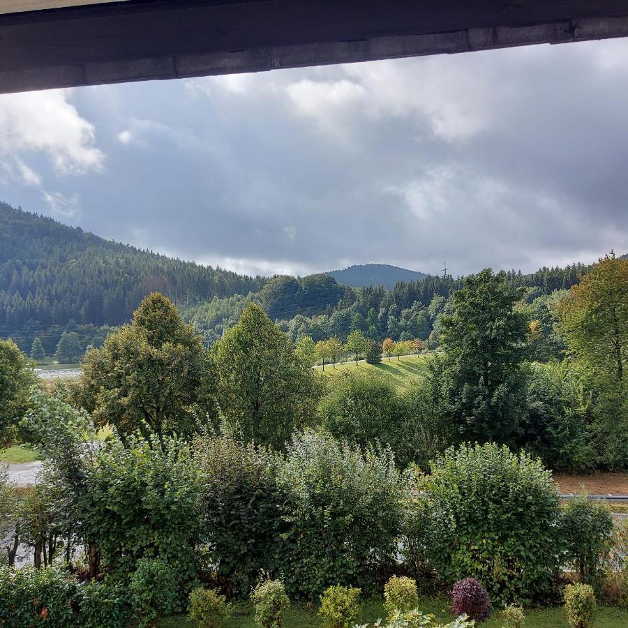 Ferienwohnung Am See Winterberg Exterior foto