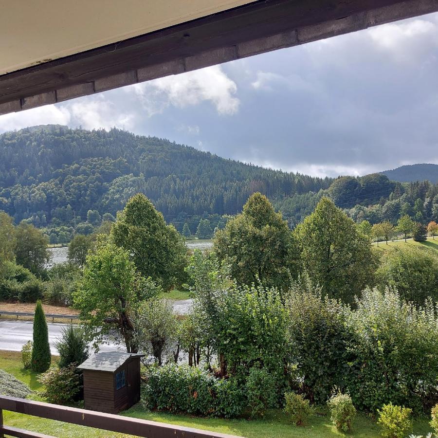 Ferienwohnung Am See Winterberg Exterior foto